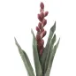 ALOE FLOWER ROSA 23X93 cm MIN 10
